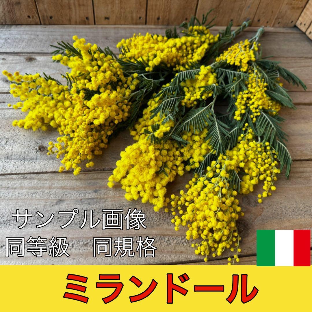 m○様 リクエスト 2点 まとめ商品