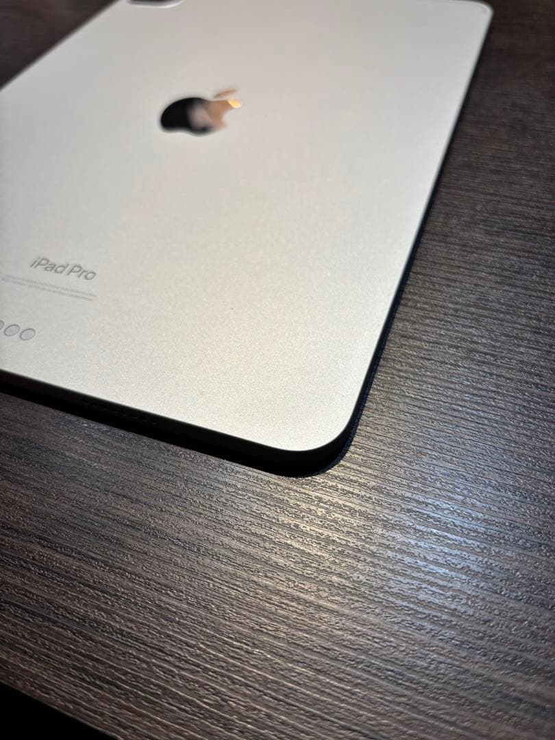 iPadPro第四世代256G本体 WiFiモデル新品ガラスフィルム、箱付き！！