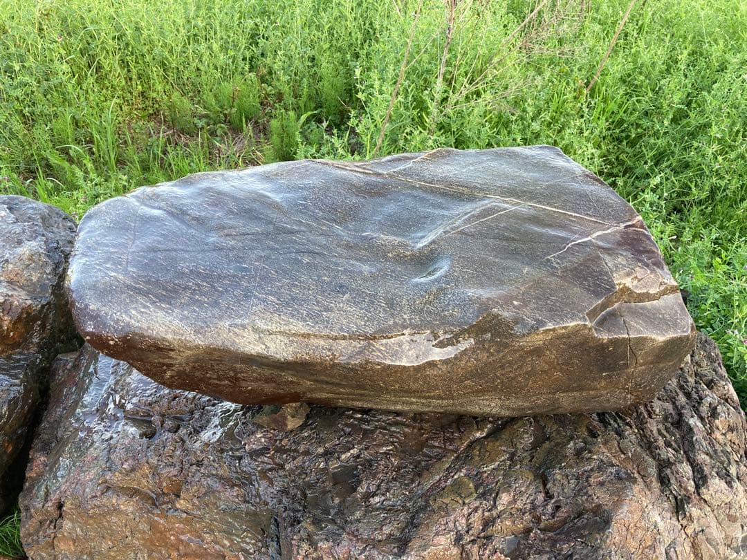 瀬田川石　銀梨地　沓石　捨石　景石