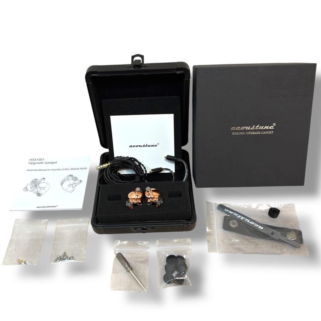 【未使用級】Acoustune HSX1001 C:02 アップグレード