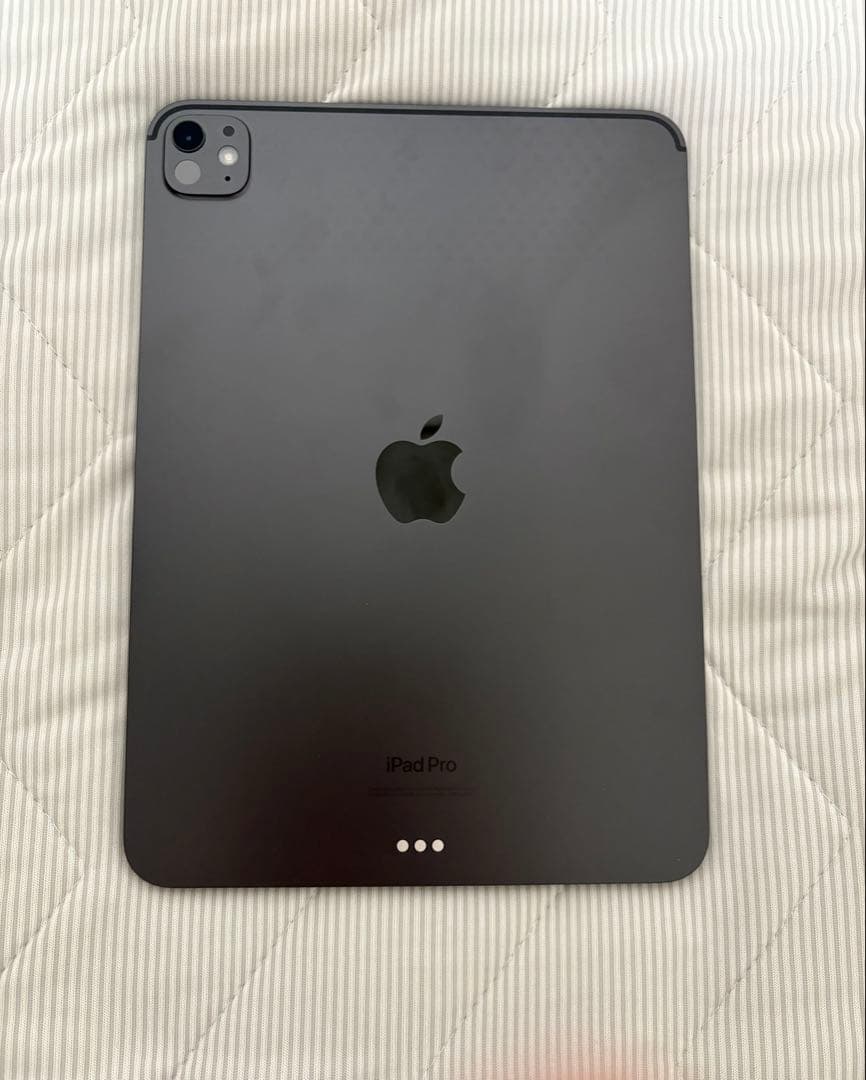 ましゅページ　Apple iPad Pro （M4）