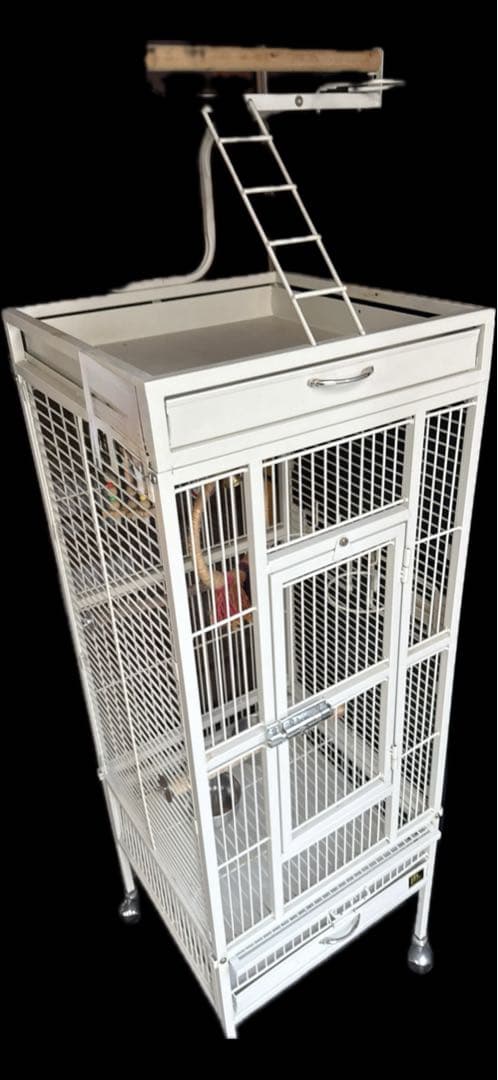 鳥かご大型 [送料込み]