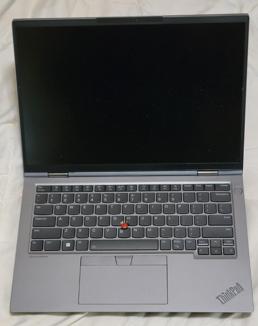 レノボ Thinkpad Neo 14 SSD 読み取り速度 6600 MB/秒