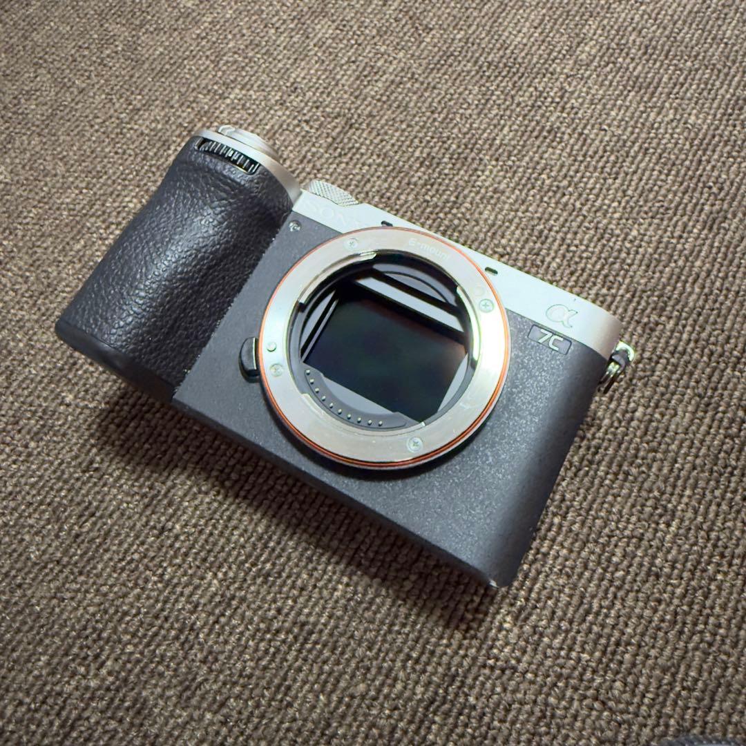 SONY a7cii ボディ　smallrig付き