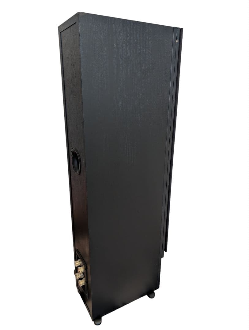 DALI IKON MKii トールボーイスピーカー