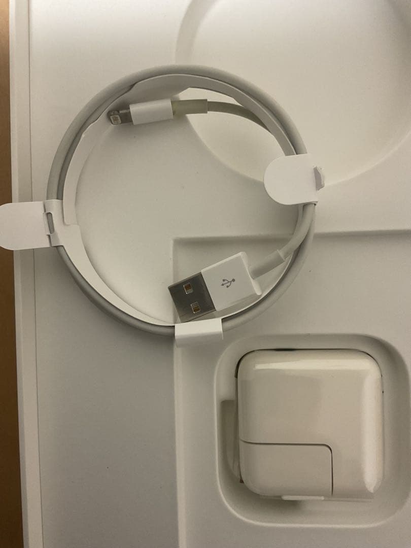 Apple iPad Wifi本体シルバー 第6世代　充電器・USBケーブル付き