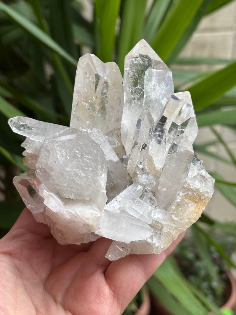 コロンビア　レムリアンクラスター　刺さるような圧巻の透明度　見事　548g.