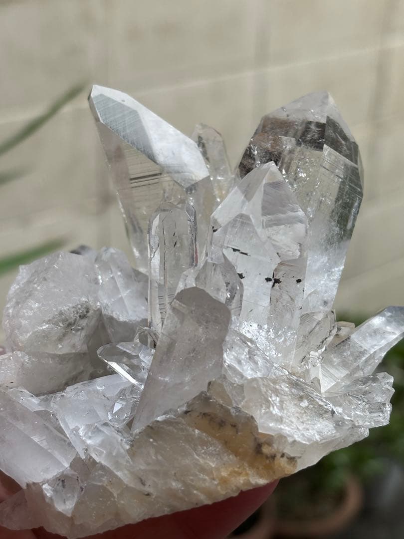 コロンビア　レムリアンクラスター　刺さるような圧巻の透明度　見事　548g.