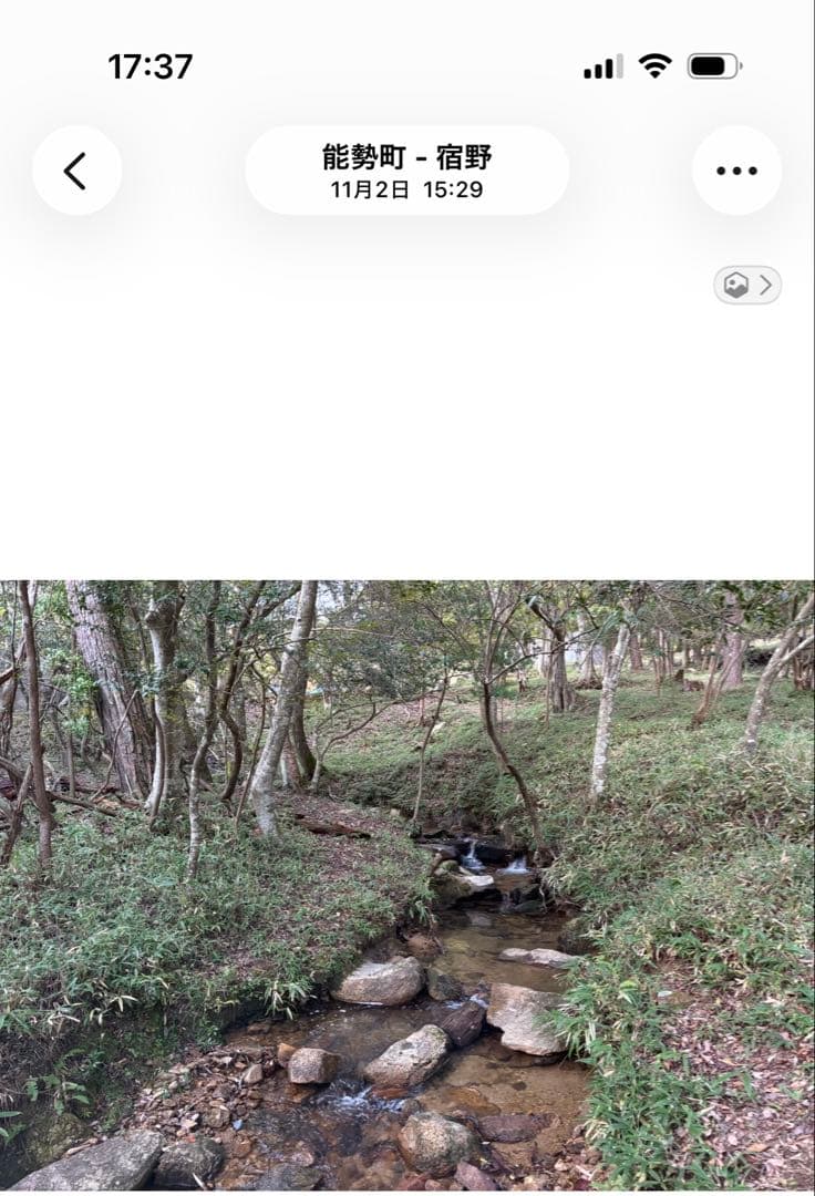 Apple iPhone 15 ブラック　本体　SIMフリー