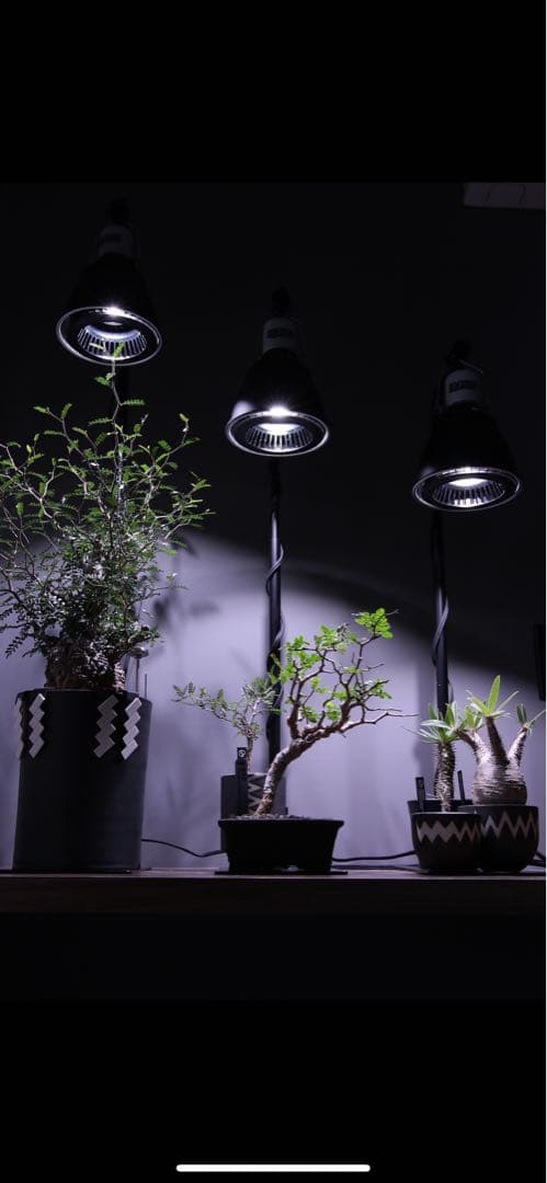 値下げ中！アマテラス-10W + ライトスタンド + ライトカバー 2セット