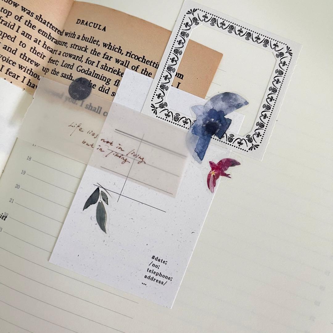 pion《Bird 》 PET　海外マスキングテープ 【1189】