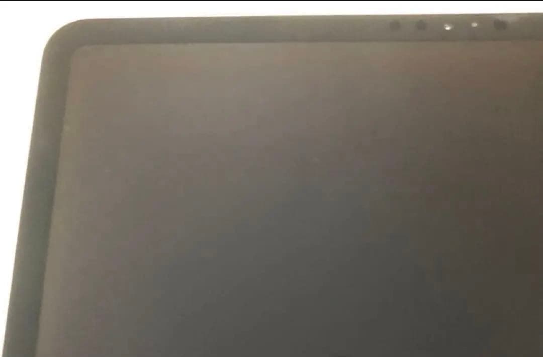 【早い者勝ち】iPad Pro 12.9 第3世代 64GB 【すぐ発送】