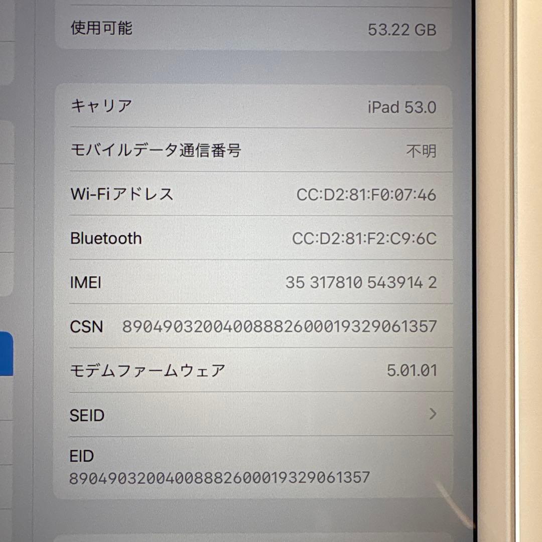 iPad mini5 セルラー 64GB SIMフリー(62)