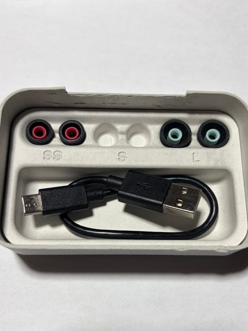 【使用期間2週間】 昨年10月購入WF-1000XM5 充電ケースと左耳【美品】