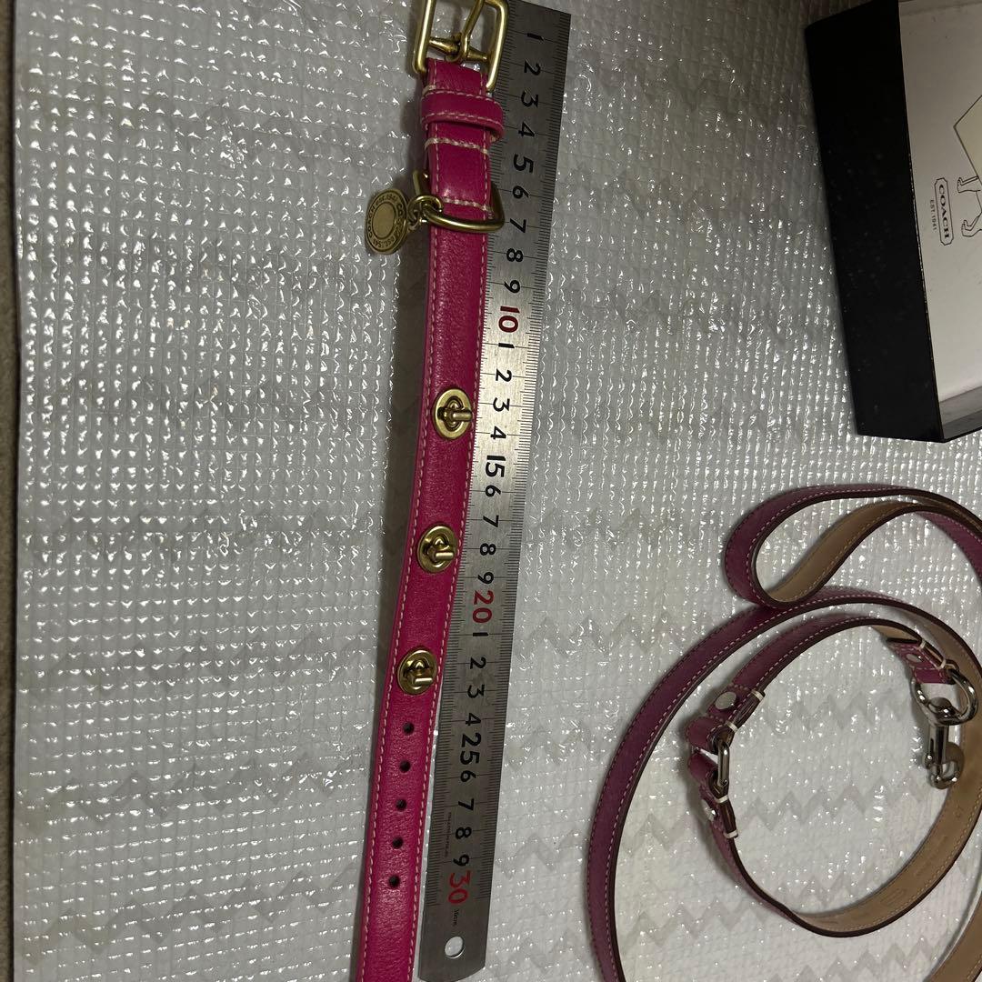 COACH ピンク レザー 首輪とリードセット