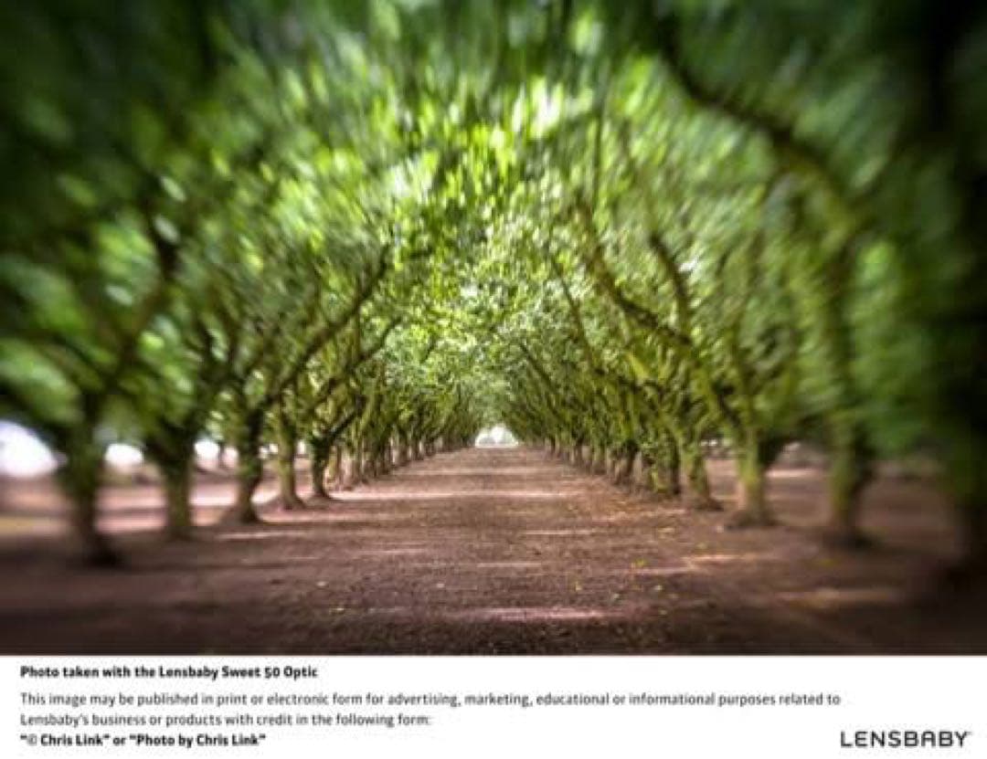 ユニークレンズ レンズベビー コンポーザー 50mm CANONマウント