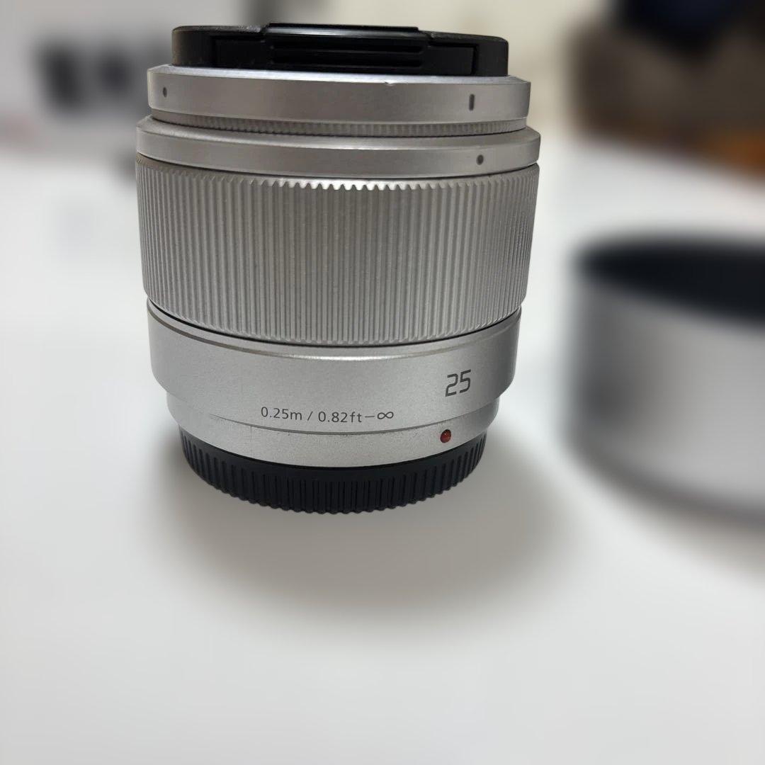 Panasonic LUMIX G DC-GF9Wミラーレスカメラ ダブルレンズ