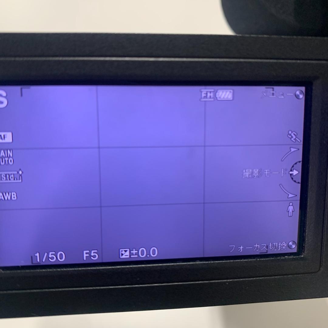 SONY ビデオカメラ本体　NEX-VG10　レンズ　SEL18200