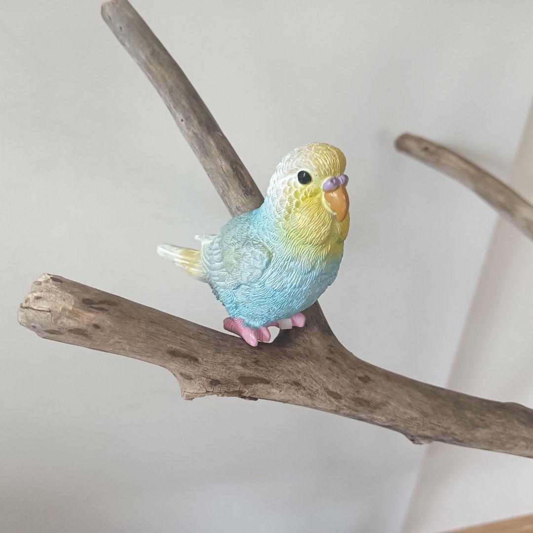 バードアスレチックジム大型 ② 天然木 自然木 流木 インコ おもちゃ