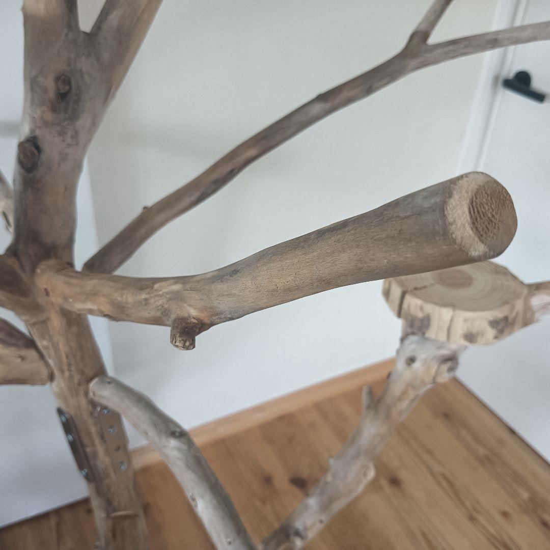 バードアスレチックジム大型 ② 天然木 自然木 流木 インコ おもちゃ