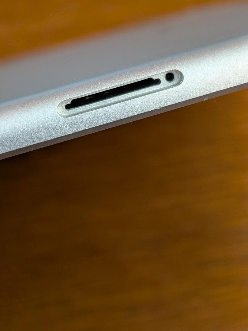 iPad mini 第5世代 Wi-Fi+Cellular 256GB