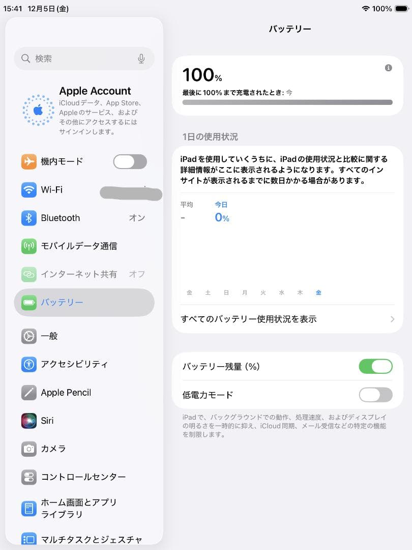 iPad mini 第5世代 Wi-Fi+Cellular 256GB