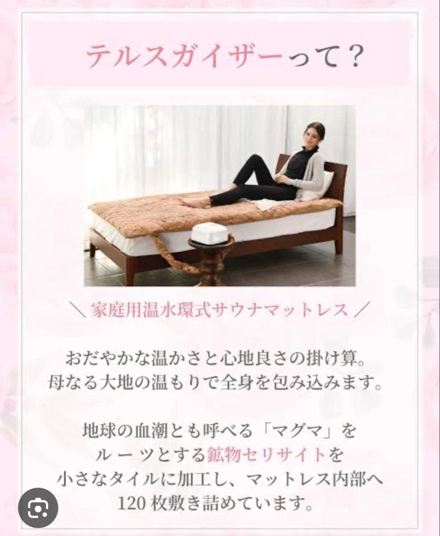テルスガイザー　マットレス＋掛布団
