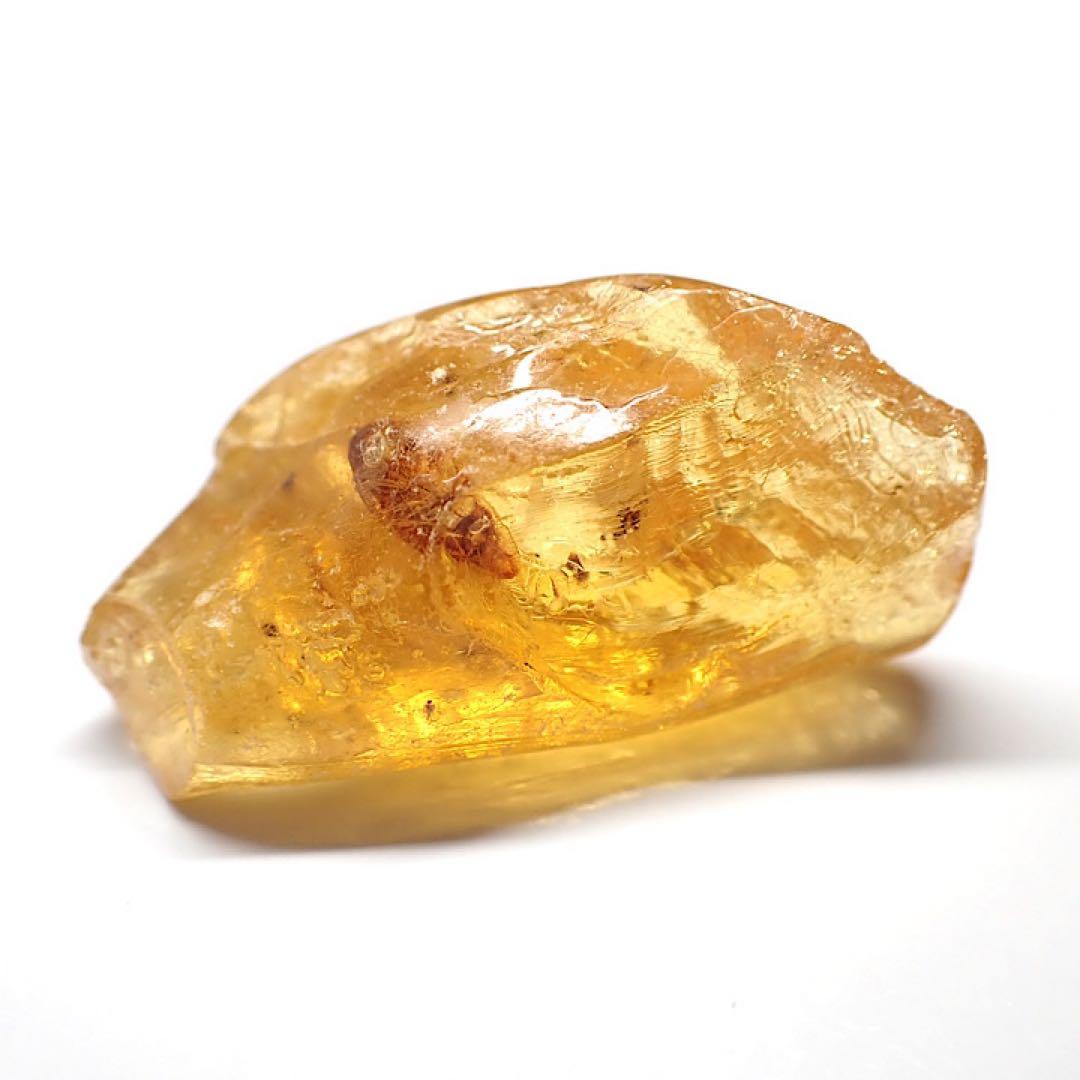 【オーストラリア産】ゴキブリ入り！天然琥珀(アンバー)