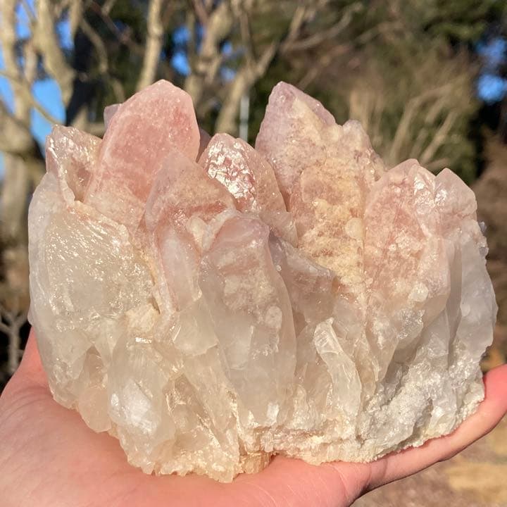 ドリームシクルレムリアンシード クラスター