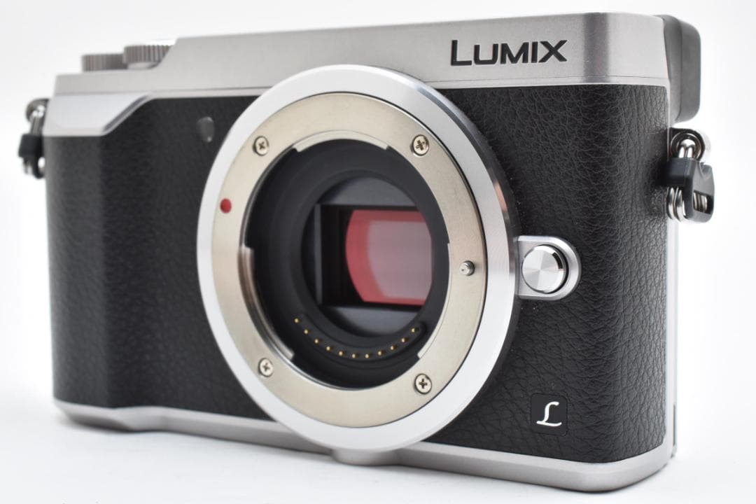 ゲッコー LUMIX DMC-GX7MK2 ボディ