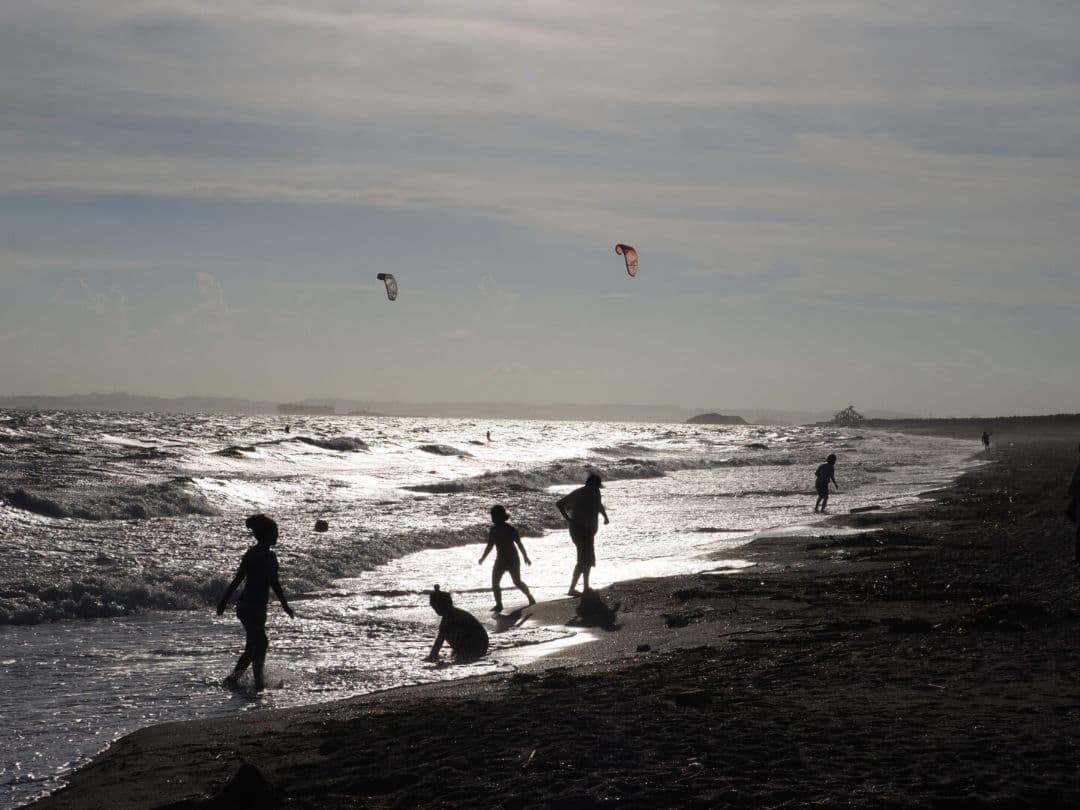 超極上美品 M.ZUIKO ED 40-150mm F2.8 PRO Olymp