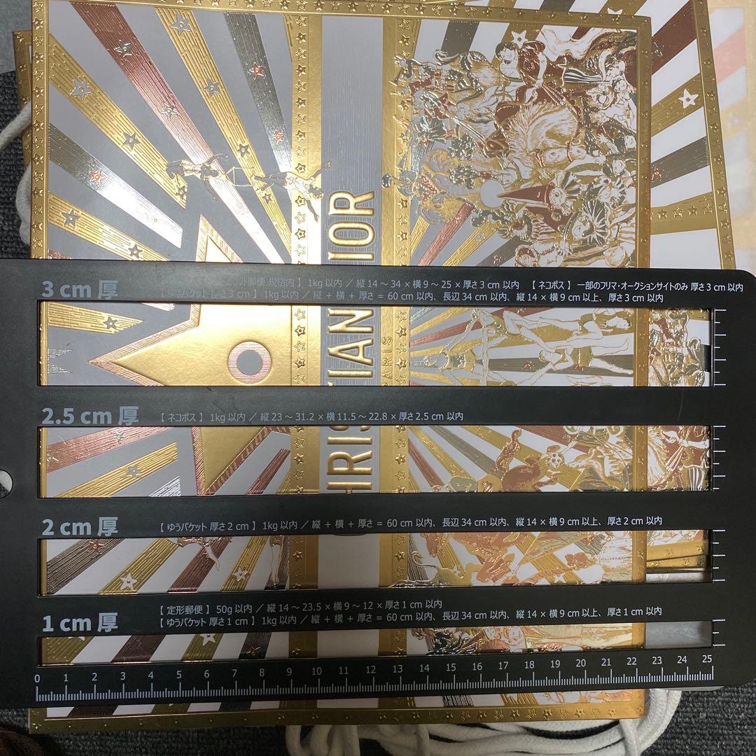 CHRISTIAN DIOR 2025年ショップ袋 ゴールド 74枚