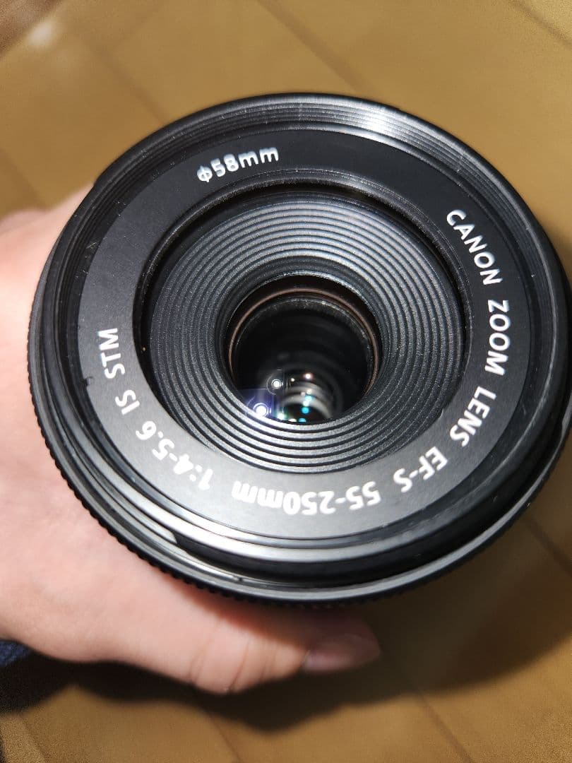 EF-S 55-250/4-5.6 IS STM　canon ズームレンズ