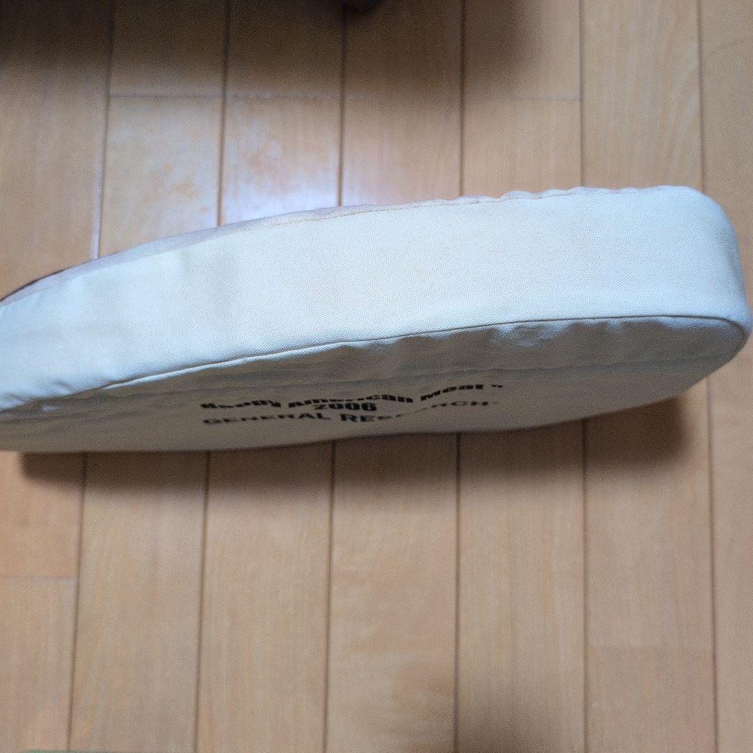 k*a様 GENERAL RESEARCH クッション Mountain Res