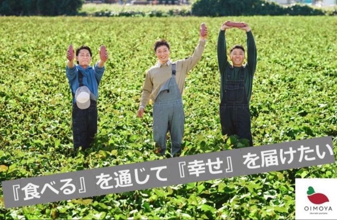 【予約受付中】紅はるか苗☆ウイルスフリー 2,000本 4月上旬から発送開始
