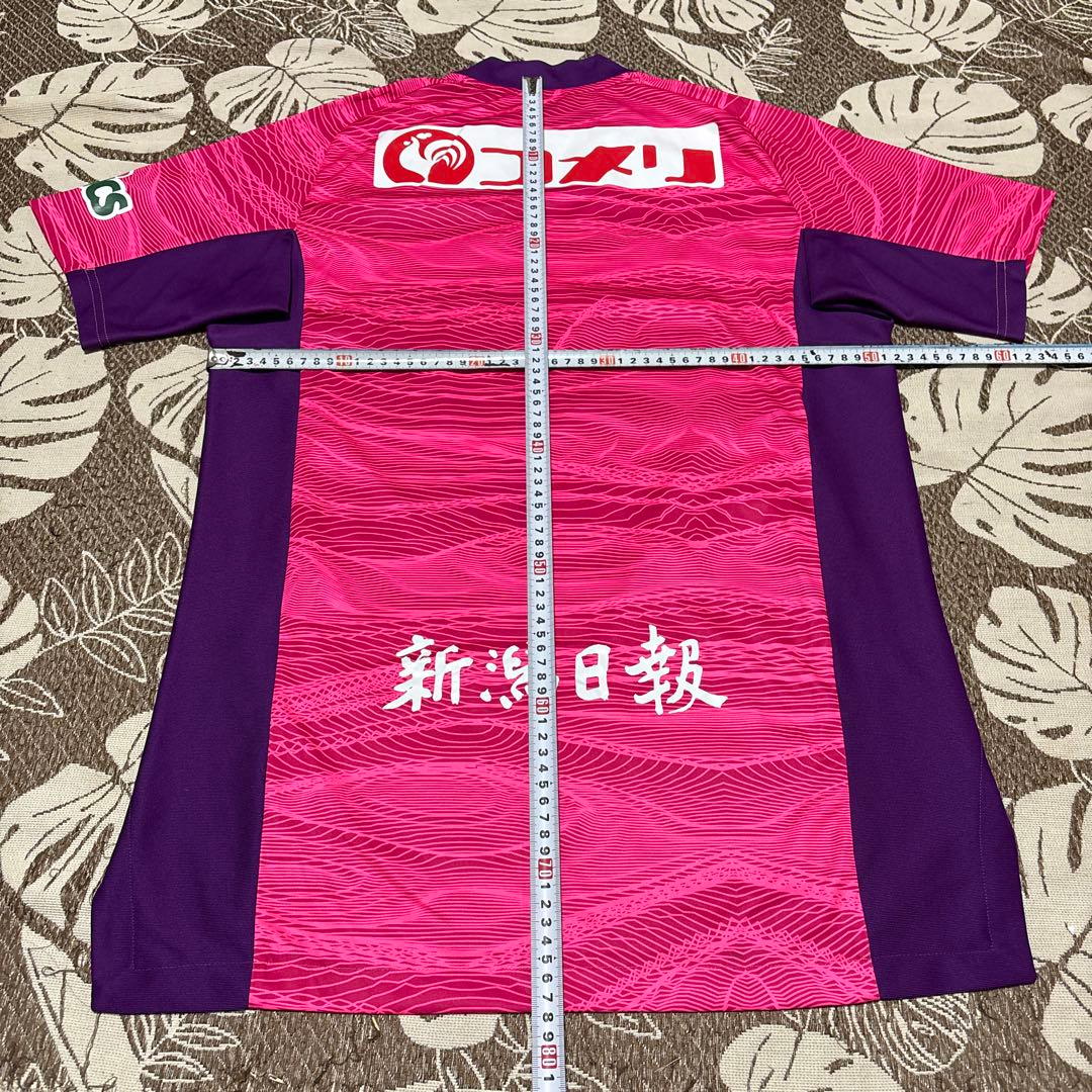 adidas(アディダス)Jリーグ　アルビレックス新潟2021 GKユニ　3rd