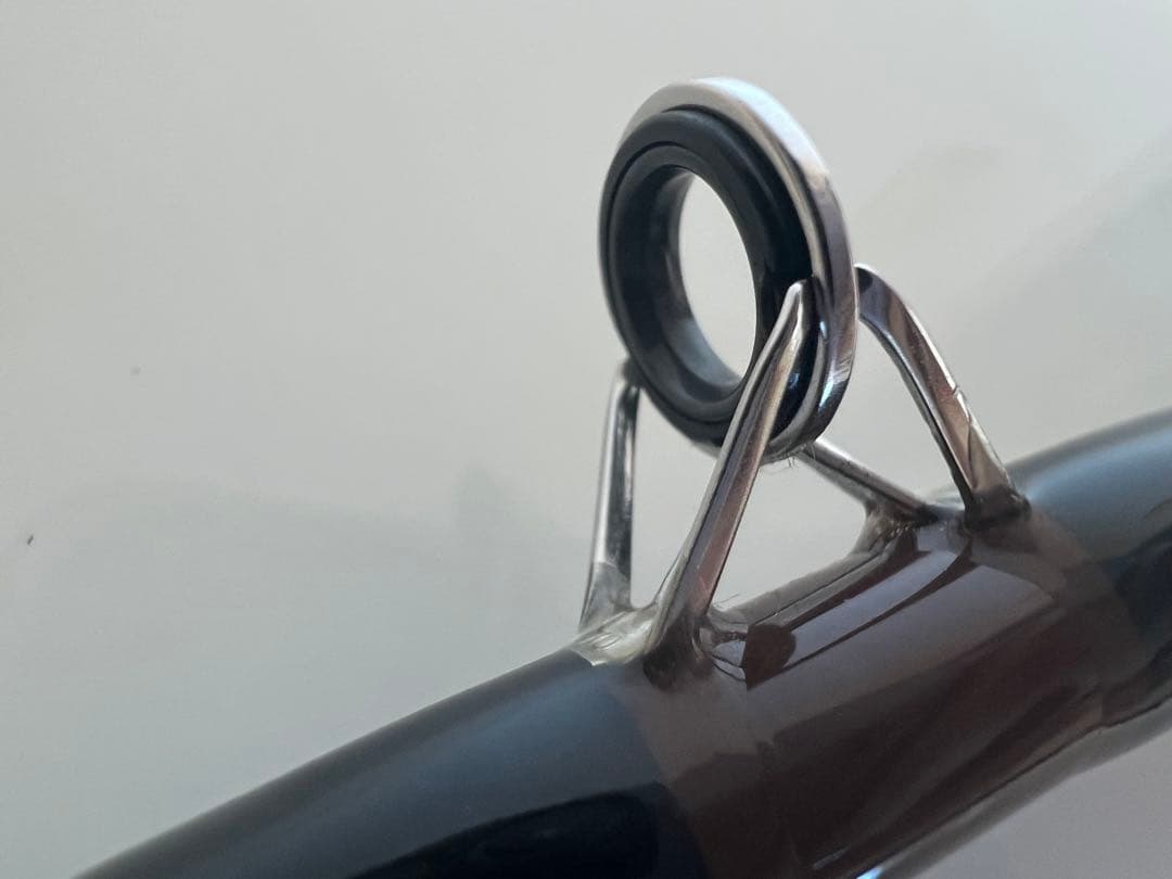 ザウルス フィリプソン バスティマー EC60B