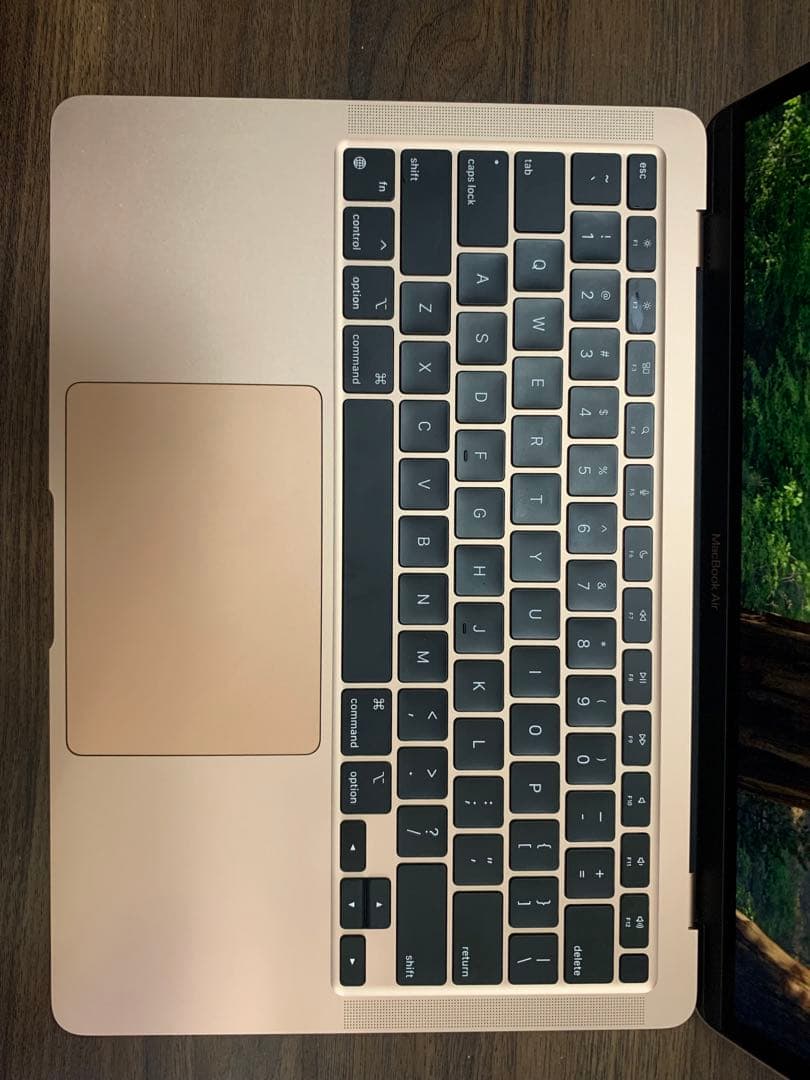 MacBook本体 Apple MacBook Air (M1, 8GB, 256GB)
