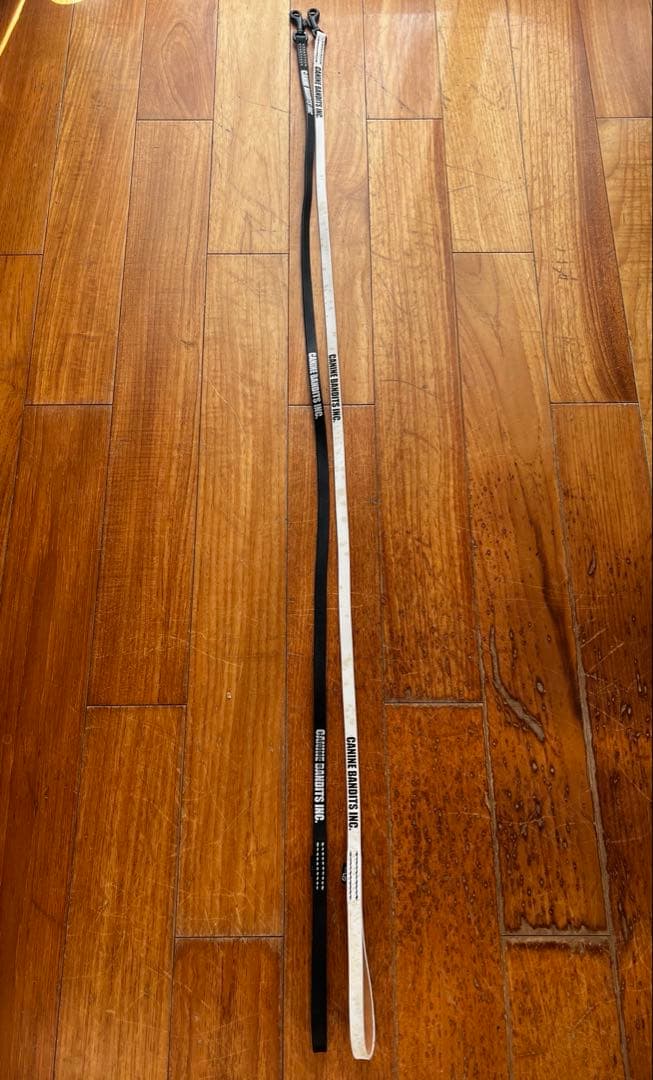 【レア】NEIGHBORHOOD ネイバーフッド 犬 ドッグ 首輪 30周年