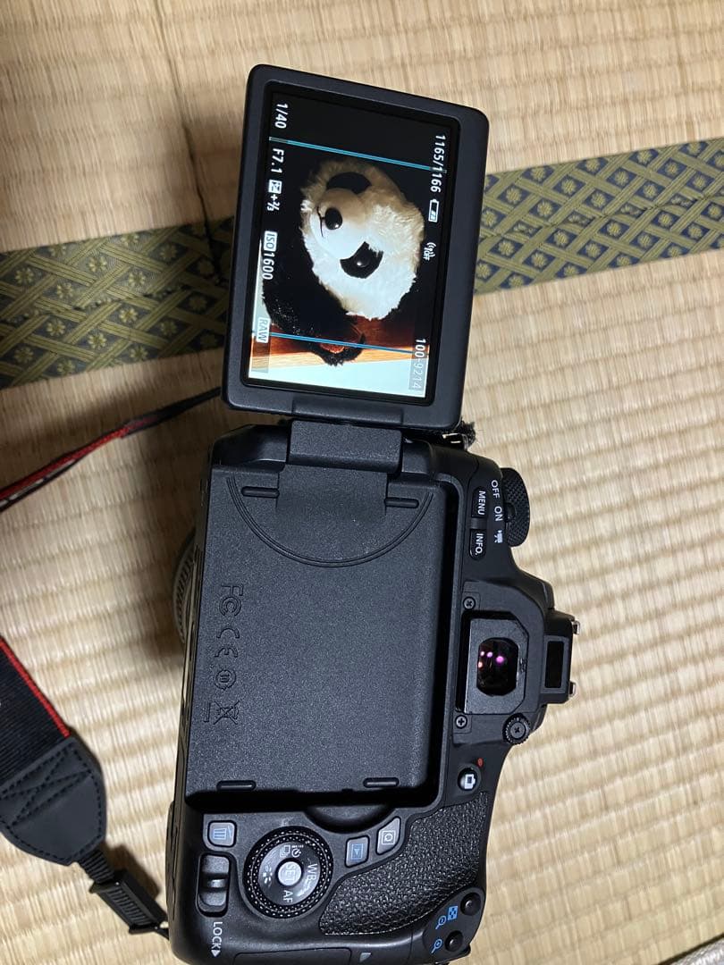 Canon EOS 8000D デジタル一眼レフカメラ 18-135レンズキット