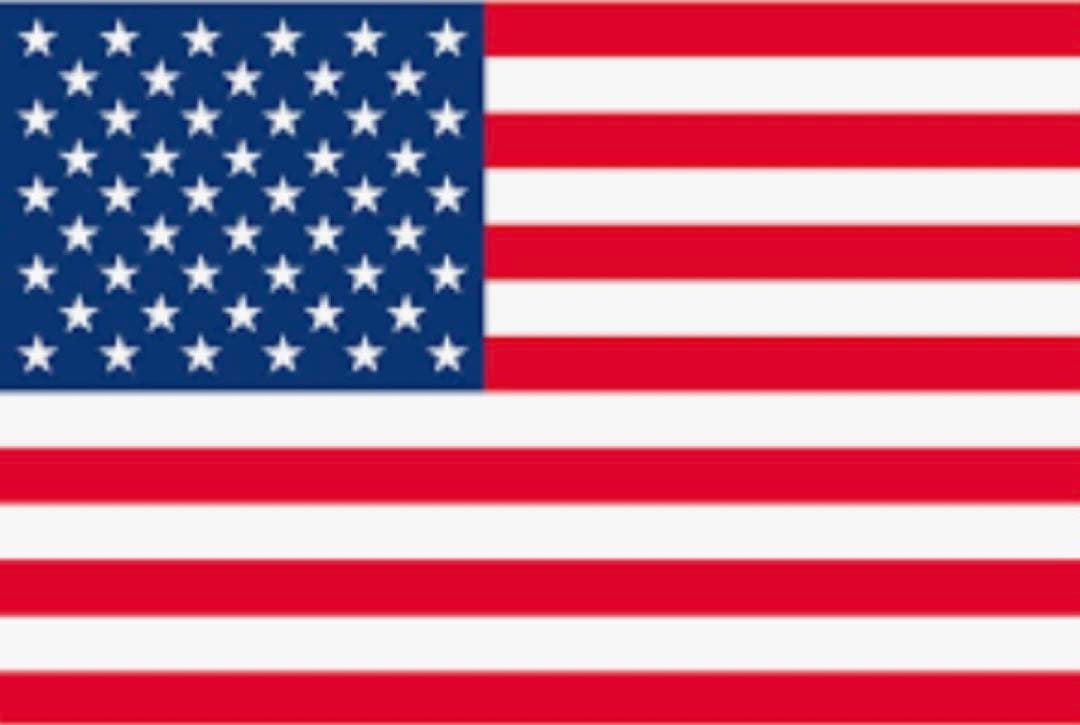 【超希少】supreme Liberty print