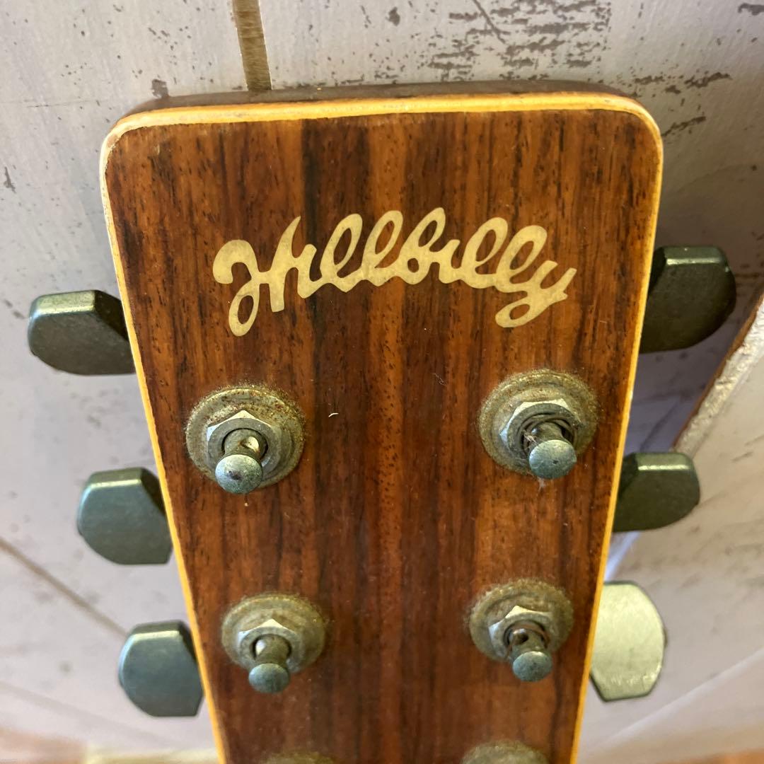 ジャンク品 ヒルビリー Hellbilly W-35 アコースティックギター