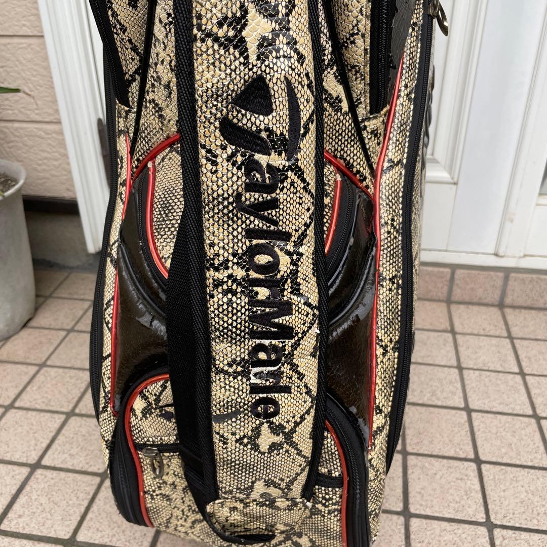 【レア柄】TaylorMadeテーラーメイド キャディバッグ フード付 蛇柄