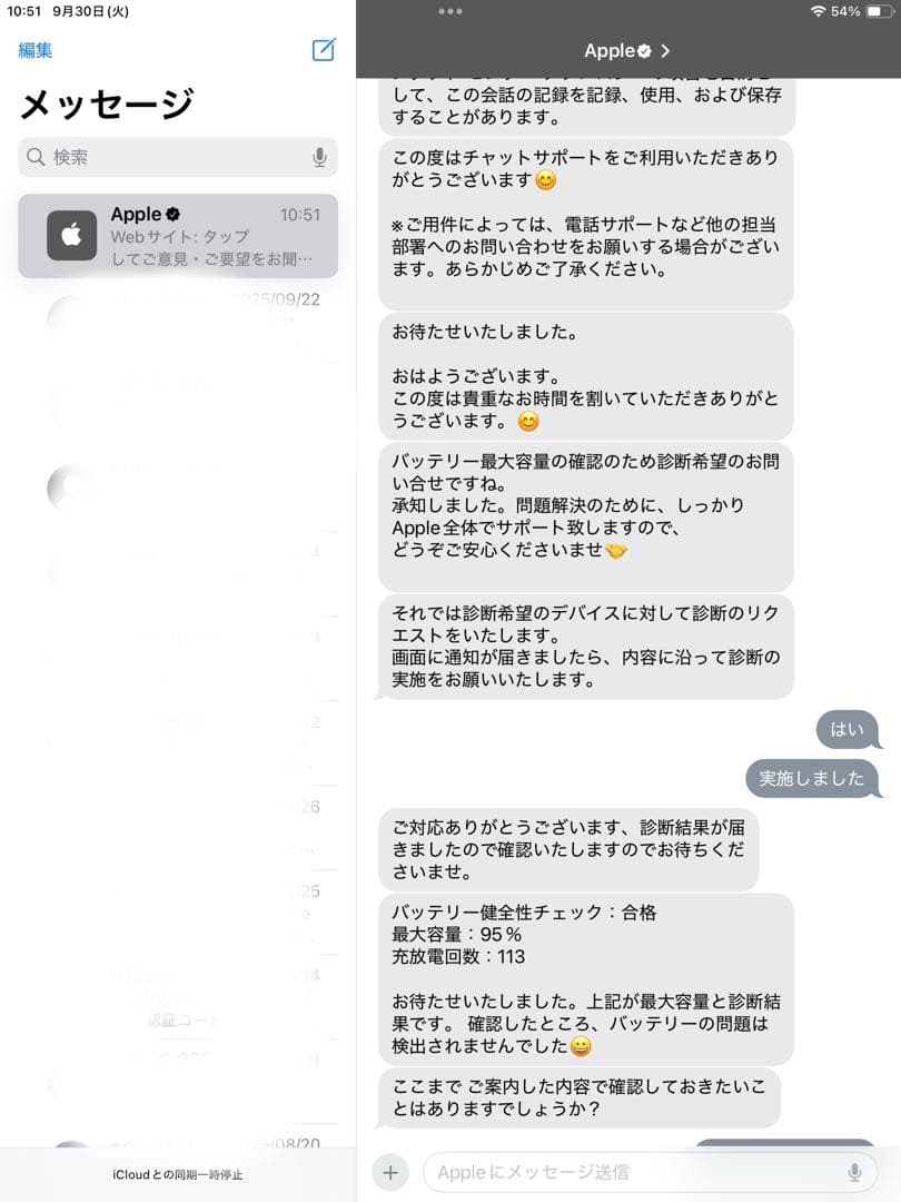 iPad 第7世代 スペースグレー セルラーモデル バッテリー95%