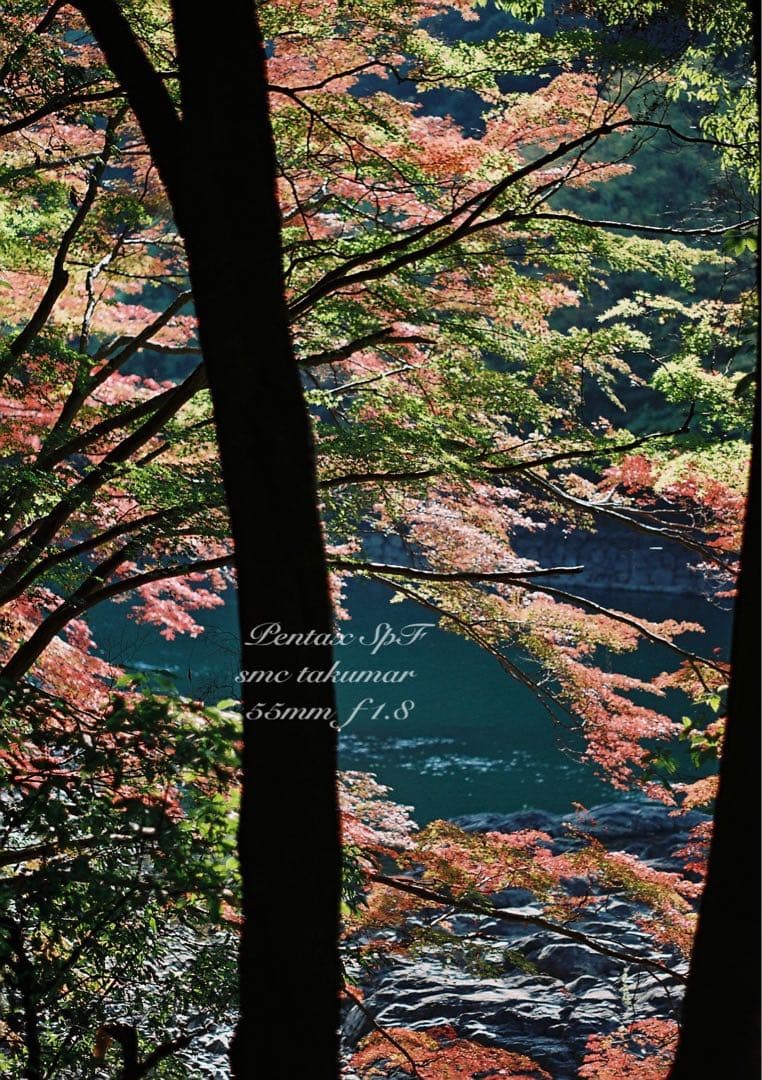 超美品＊完動品★pentax spf／ f1.8★初期保証＊作例必見＊絶好調！