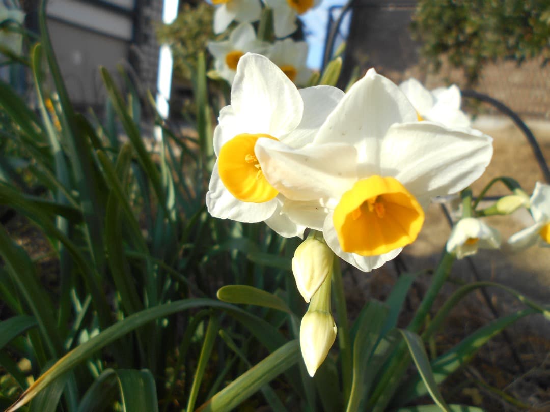 追加有り⭕️【動作確認済】 Nikon COOLPIX L32