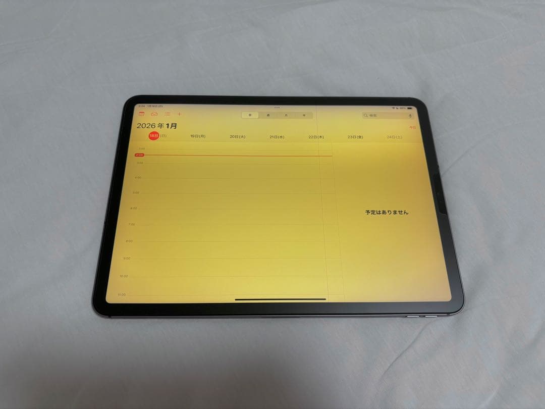 iPad Pro (11インチ)(第2世代) 128GB ジャンク品