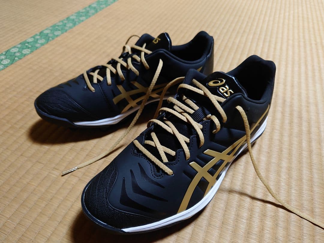 アシックス　ファング 27.5cm