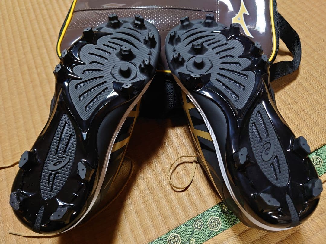 アシックス　ファング 27.5cm