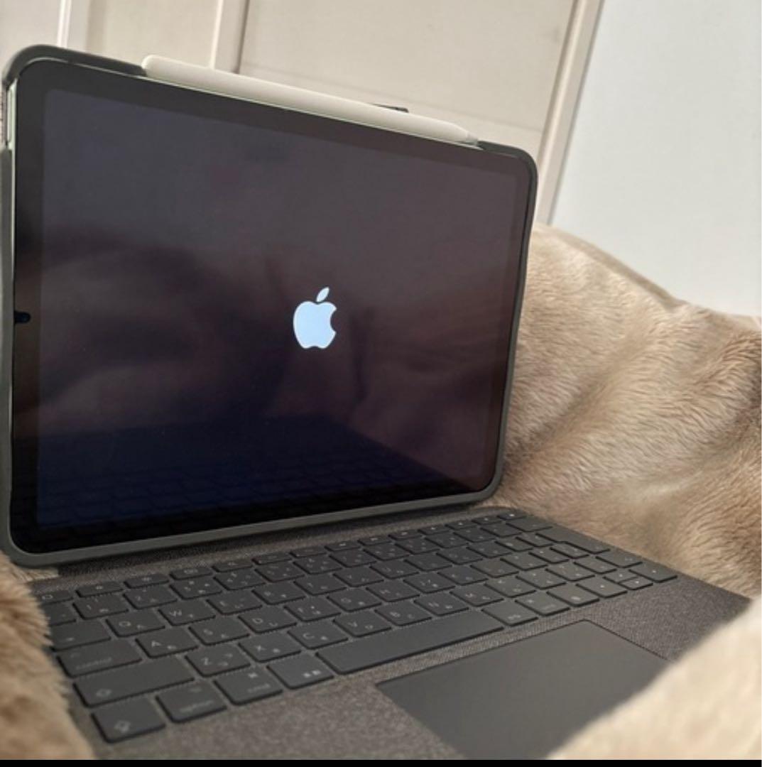 Apple iPad Air (第4世代) 256GB